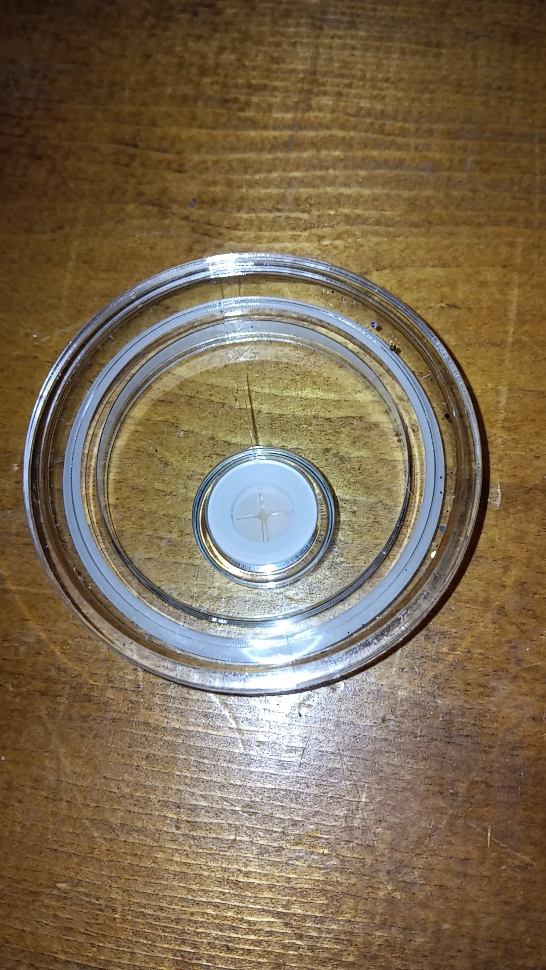 1- BLANK 16oz Acrylic Snowglobe