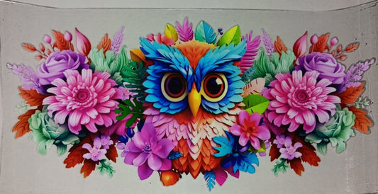 Colorful Owl Wrap